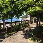 Villa Tergeste Hotel 3*