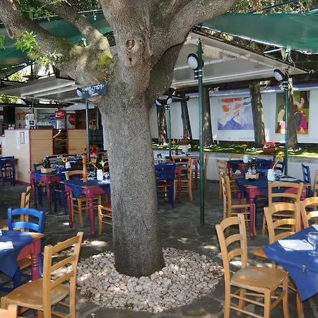 Villa Tergeste Hotel 3*