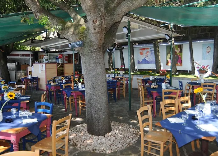 Villa Tergeste Hotel 3*